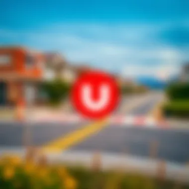 Magnificent Comprehensive Guide to uTorrent Pro Mod APK for Windows