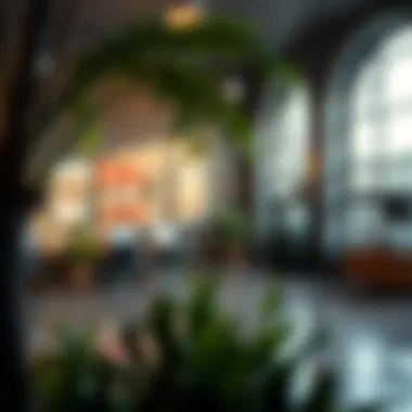 Magnificent Exploring Photoroom: Enhancements and Opportunities in Mobile Applications