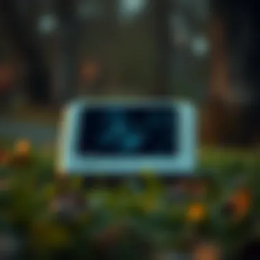 Magnificent Exploring the CapCut Pro PC Unlocked: A Comprehensive Guide Magnificent Exploring the CapCut Pro PC Unlocked: A Comprehensive Guide