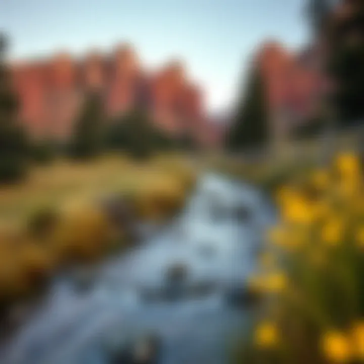 Magnificent Exploring the PicsArt PC Mod Landscape