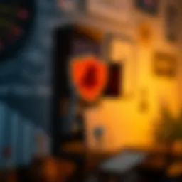 Comprehensive Analysis of Thunder VPN Mod APK Introduction