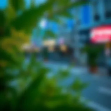 Comparison of standard TikTok and TikTok Mod APK