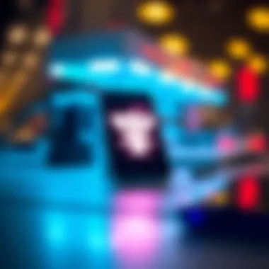 Evaluating the Safety of LiteApks: Insights from Reddit Users Summary