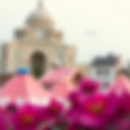 Exploring CapCut Mod Pro APK Version 13.8 Introduction