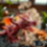 Exploring Hungry Dragon Mod APK: A Comprehensive Guide Introduction