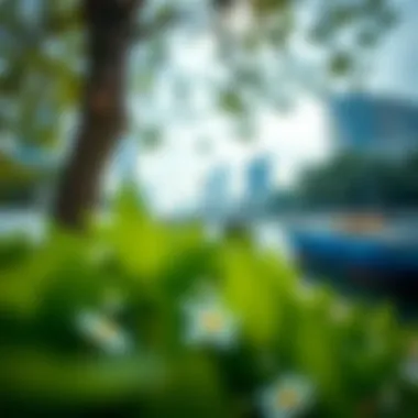 Visual representation of Instabridge features