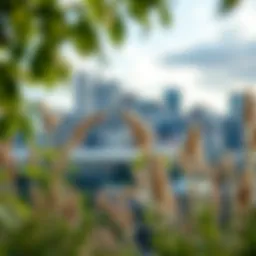 Exploring Lightroom with Revanced: A Comprehensive Overview Introduction