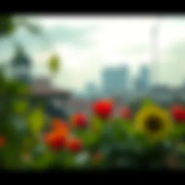 Notable Exploring Lightroom with Revanced: A Comprehensive Overview