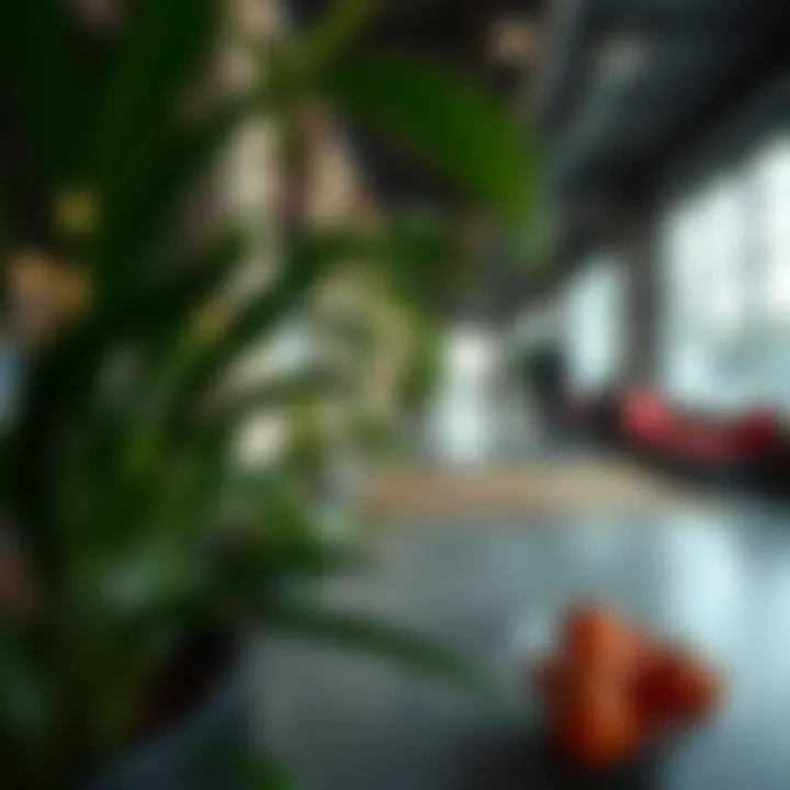 Exploring Photoroom: Enhancements and Opportunities in Mobile Applications Introduction