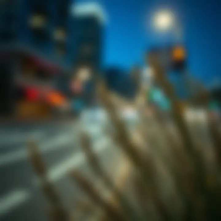 Notable Exploring Relens Mod APK: A Deep Dive into Mobile Enhancements