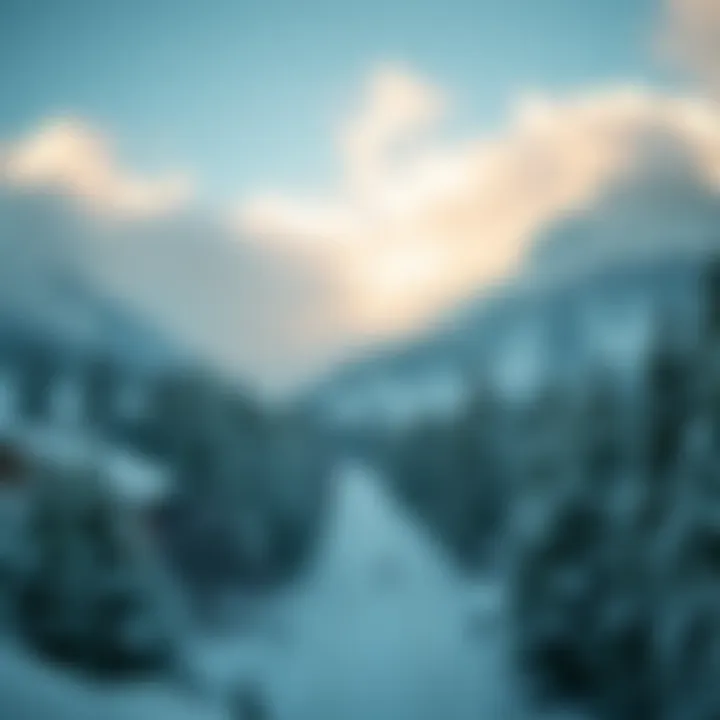 Notable Exploring Snow APK Premium: A Comprehensive Analysis