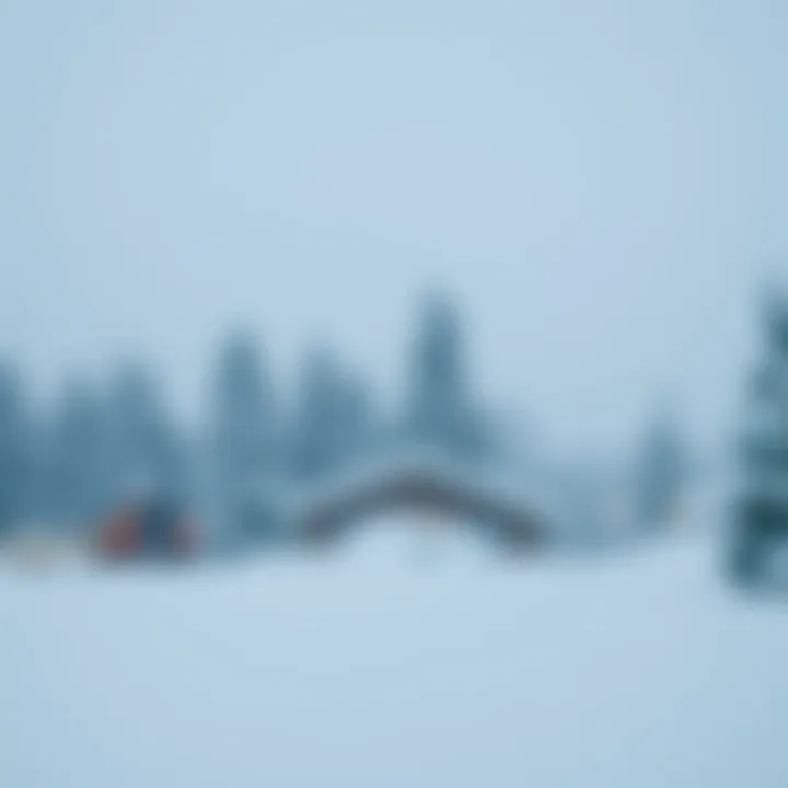 Exploring the Snow Mod APK: An In-Depth Analysis Summary