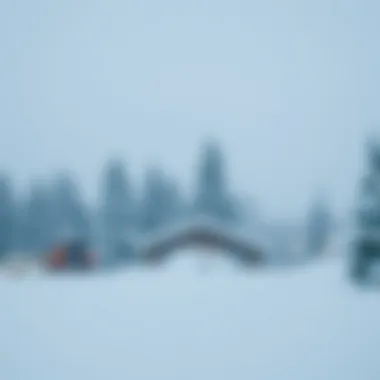 Exploring the Snow Mod APK: An In-Depth Analysis Summary Exploring the Snow Mod APK: An In-Depth Analysis Summary