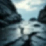 Exploring Tidal HiFi Crack: Insights and Implications Introduction