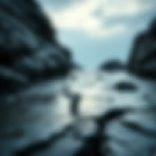 Exploring Tidal HiFi Crack: Insights and Implications Introduction