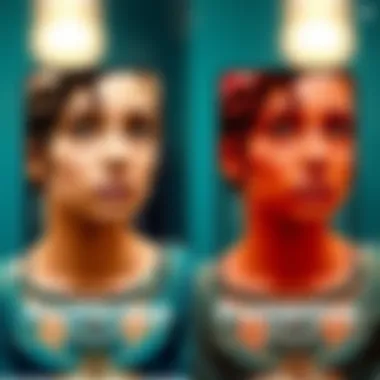 Features Comparison of Ibis Paint Versions Comparison of features between standard and premium versions of Ibis Paint