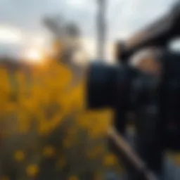 Mastering Video Rewind Techniques in CapCut Introduction